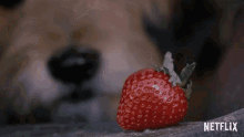 Eat Strawberry Yum GIF - Eat Strawberry Yum Strawberry GIFs