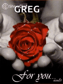 Greg Love GIF - Greg Love Rose GIFs
