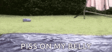 a person is standing on a blanket in the grass with the words `` piss on my belly '' .