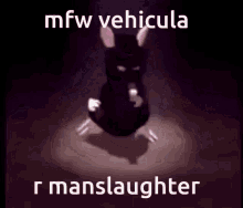 vehicular manslaughter