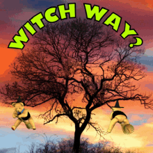 which way witch way what direction how witch on broomstick
