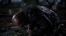 a bald man is kneeling down in a cemetery