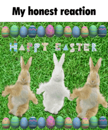 My Honest Reaction Happy Easter GIF