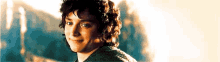 Frodo Leaving GIF - Frodo Leaving Smile GIFs