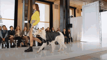 Fashion The Pack GIF - Fashion The Pack Runway GIFs