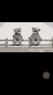 two teddy bears are sitting on a wooden fence and one has a blue face mask on