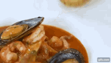 chef in camicia zuppa di pesce food