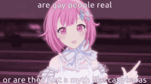 a pink haired anime girl with the words are gay people real or are they just a myth like capybaras on the bottom