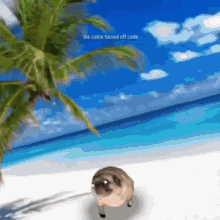 Pug Dancing Vibing Pug GIF - Pug Dancing Vibing Pug Memes GIFs