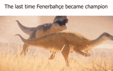 Fenerbahce Champion GIF - Fenerbahce Champion GIFs