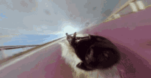 Speed Boat Not3s GIF