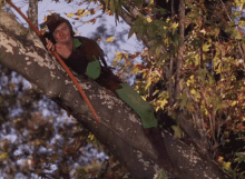 Errol Flynn Robin Hood GIF - Errol Flynn Robin Hood Salute GIFs