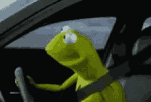 Kermit Driving GIF