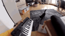 Midi Controller Keyboard GIF - Midi Controller Keyboard Cat GIFs