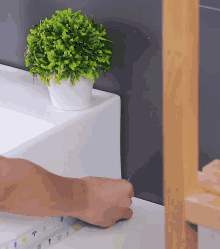 a plant in a white pot sits on the edge of a sink