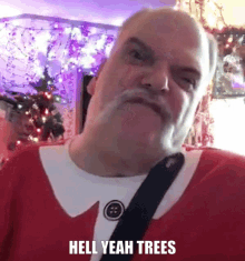 Trees Hell GIF - Trees Hell Yeah GIFs