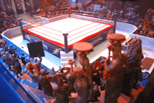 a boxing ring with a sign that says ultimate takedown