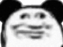 a close up of a panda 's face with a blurred background and ears .