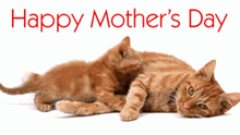 Happy Mother'S Day 2023 Madison GIF - Happy Mother'S Day 2023 Madison GIFs