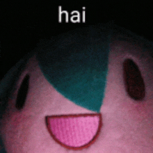 a close up of a stuffed animal 's face with the word hai written on it