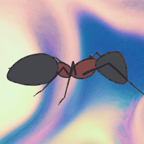 Animated Ants GIFs | Tenor