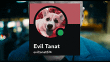 a picture of a dog with the name evil tanat on the bottom
