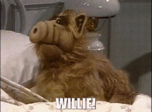 Alf Willie GIF - Alf Willie Shouting GIFs
