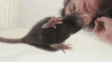 Hungry Spin GIF - Rats Spin Snacks GIFs