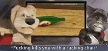 a picture of a dog and a cat with the caption " fucking kills you with a fucking chair " on the bottom