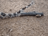 a broken piece of metal is laying on the ground on the ground .