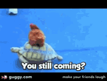 Hurry Up You Still Coming GIF - Hurry Up You Still Coming Chicken GIFs