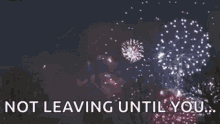 fireworks not leaving until you grand finale happy ending