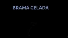 Brama Gelada123 GIF - Brama Gelada123 GIFs