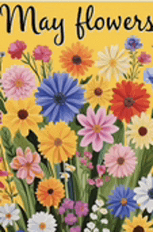 a bunch of colorful flowers on a yellow background with the words `` may flowers '' written on it .
