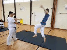 Kicks Tkd GIF - Kicks Tkd Taekwondo GIFs