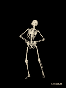 Skeleton Jig Skeleton GIF - Skeleton Jig Skeleton Skeleton Dance GIFs