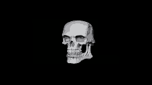 Caveira Sorrindo Smiling Skull GIF - Caveira Sorrindo Smiling Skull Troll Face Skull GIFs