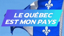 Quebec Flag Montreal GIF - Quebec Flag Montreal Paysqc GIFs