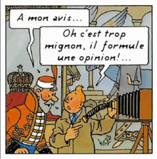 Tintin Opinion GIF - Tintin Opinion Avis GIFs
