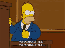 Homer Simpsons GIF - Homer Simpsons Why GIFs