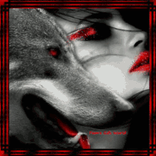 Redwolf GIF - Redwolf Wolf GIFs