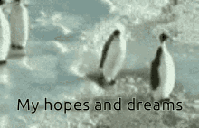 My Hopes And Dreams Dreams GIF - My Hopes And Dreams Dreams Hope GIFs