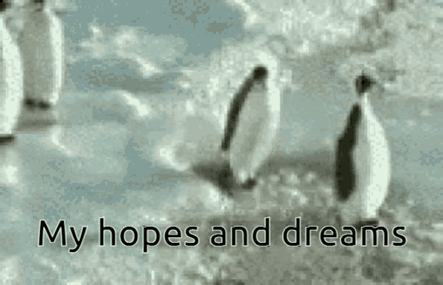 a group of penguins standing on top of a snow covered field with the words `` my hopes and dreams '' above them .