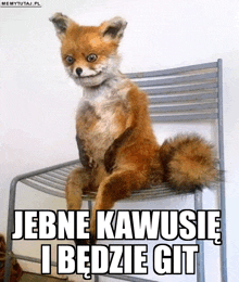 Kawiusia Sen GIF