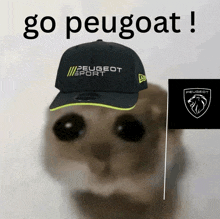a picture of a cat with a peugeot sport hat on