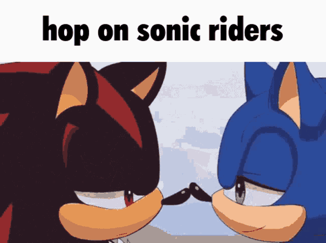sonic riders