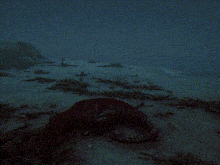 a pixelated image of a crab crawling in the sand