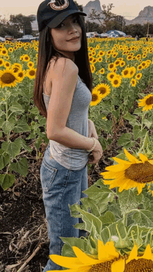 ดอก ทานตะวัน GIF - ดอก ทานตะวัน Sunflower GIFs