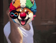 Clown Dog Dfinity GIF - Clown Dog Dfinity Crypto GIFs