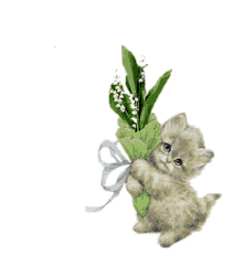 lili of the valley cat cute cat pet flowers
